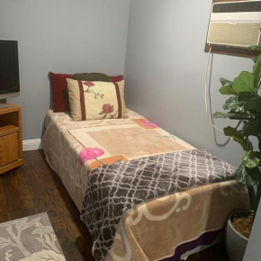 The cozy Room